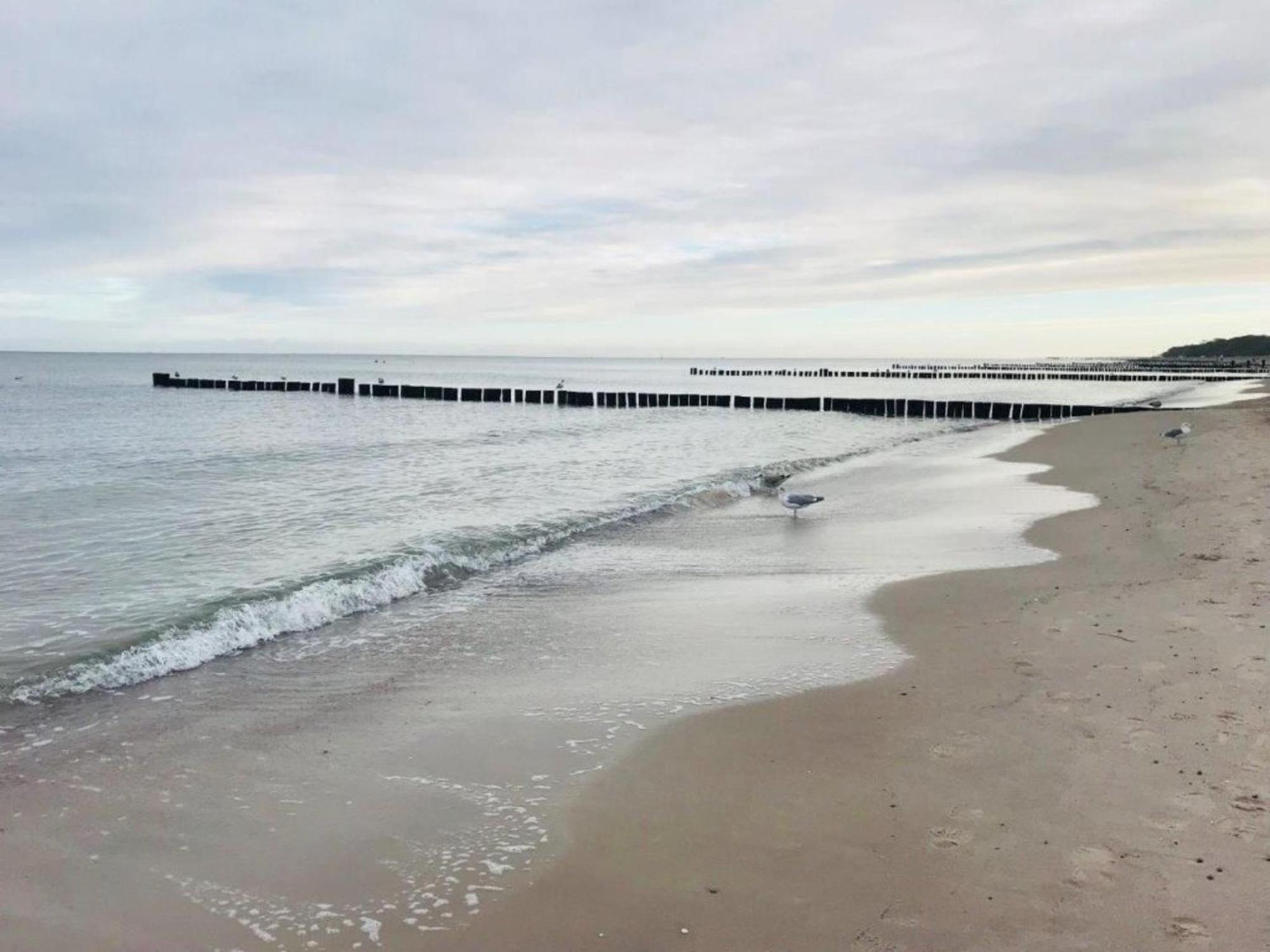Meeresrauschen Ostseebad Kühlungsborn 外观 照片